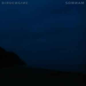 Birdengine - SOMNAM album cover