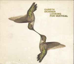 Gareth Skinner - Looking For Vertical album cover