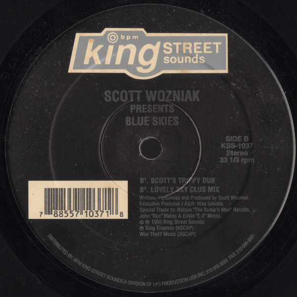 télécharger l'album Scott Wozniak - Blue Skies