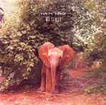 Cover of Mr Tembo, 2014-03-00, CDr
