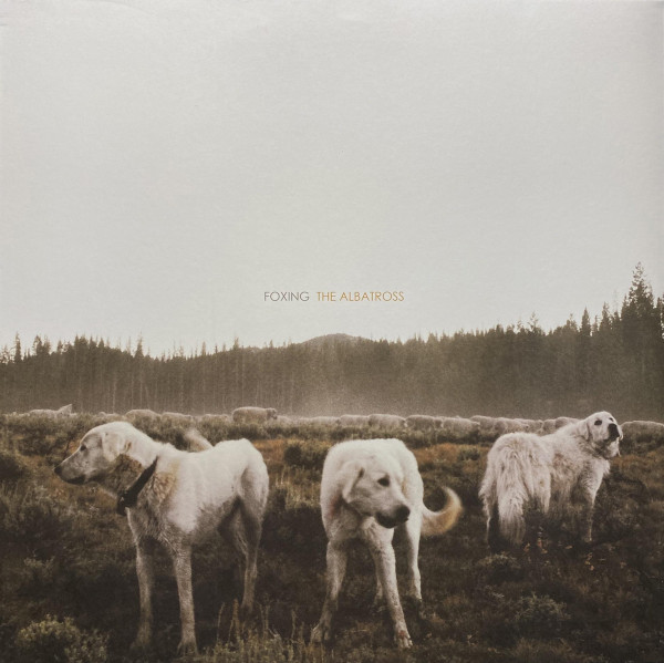 The Albatross by Foxing