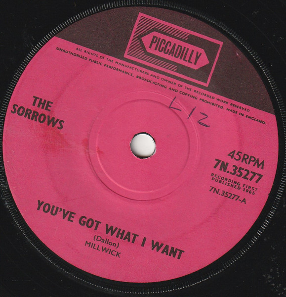 The Sorrows – You've Got What I Want (1965