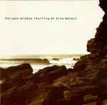 Cover of Surfing On Sine Waves, 2000, CD