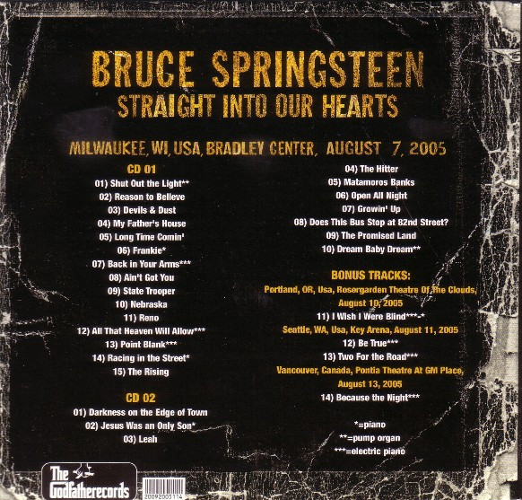 descargar álbum Bruce Springsteen - Straight Into Our Hearts