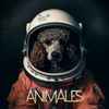 Animales - The Animation Switch