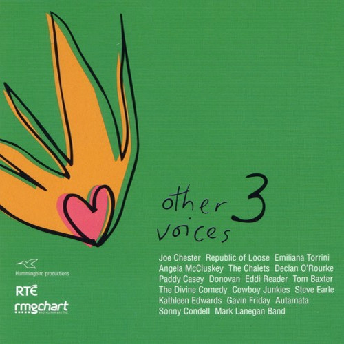 ladda ner album Various - Other Voices 3