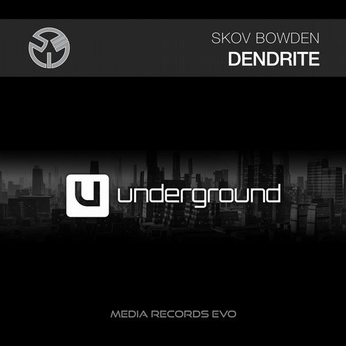 Album herunterladen Skov Bowden - Dendrite