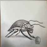 bar italia – Bedhead (2023, Vinyl) - Discogs