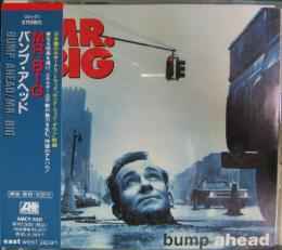 Mr. Big - Bump Ahead album cover