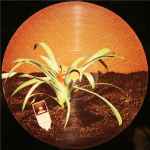 Cover of Sur La Terre (DJ Tools Limited Edition), 2002, Vinyl