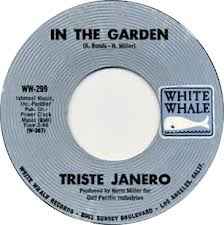 Triste Janero - Rene De Marie / In The Garden album cover