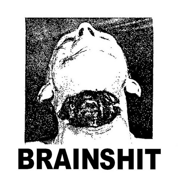 télécharger l'album Brainshit - Demo
