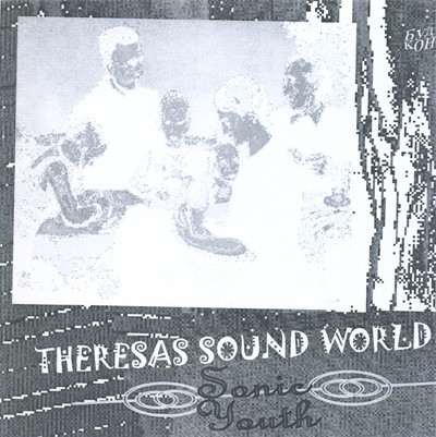 descargar álbum Sonic Youth - Theresas Sound World