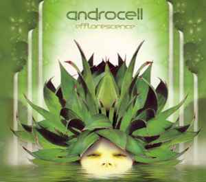 Efflorescence - Androcell
