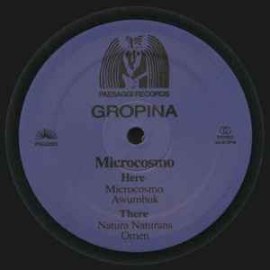 Gropina - Microcosmo album cover