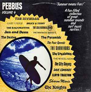 Pebbles Volume 4 "Summer Means Fun!" - Various