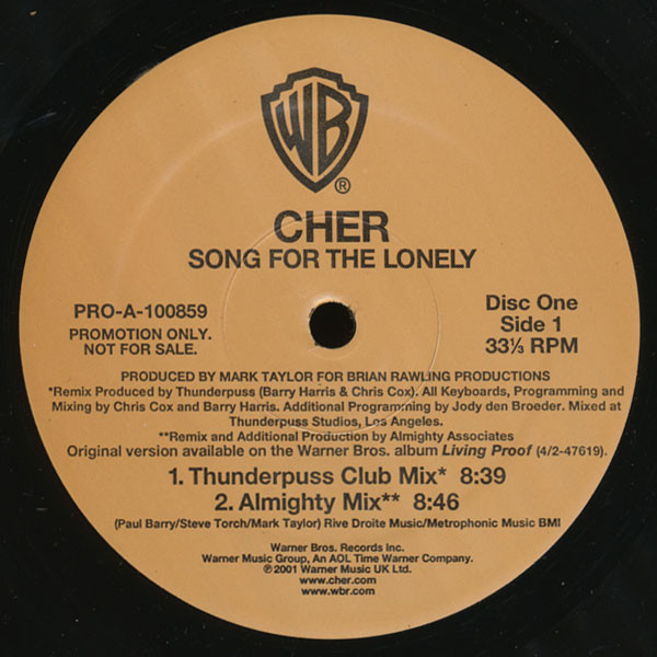 Cher – Song For The Lonely (2001, Vinyl) - Discogs