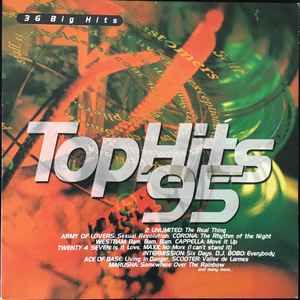 Top Hits '95 - Various