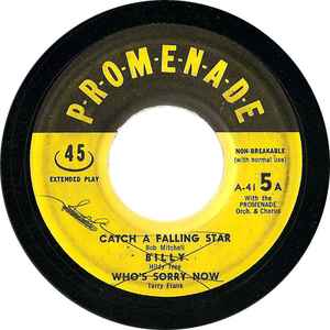 The Promenade Orchestra & Chorus - Catch A Falling Star / Twilight Time album cover
