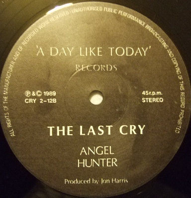 last ned album The Last Cry - Downpour