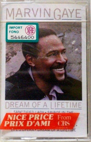 Marvin Gaye, Dream Of A Lifetime