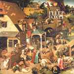 Cover of Fleet Foxes, 2008-06-03, Vinyl