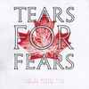Tears For Fears - Live At Massey Hall Toronto, Canada / 1985