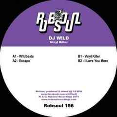 Vinyl Killer - DJ Wild