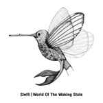 Cover of World Of The Waking State, 2017-09-22, Vinyl