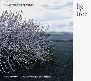 Przemysław Strączek - Fig Tree album cover