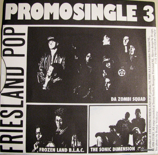 last ned album Various - Friesland Pop Promosingle 3