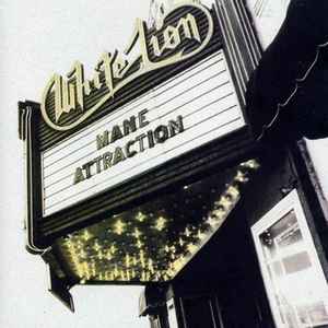 Mane Attraction - White Lion