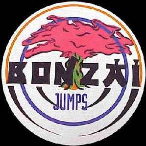 Bonzai Jumps on Discogs