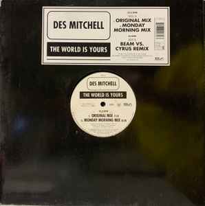 The World Is Yours - Des Mitchell