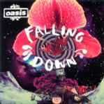 Cover of Falling Down, 2009-03-09, Vinyl