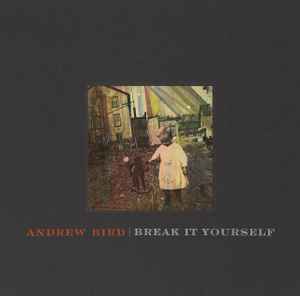 Andrew Bird - Break It Yourself album cover