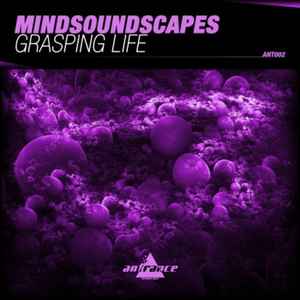 Mindsoundscapes - Grasping Life album cover