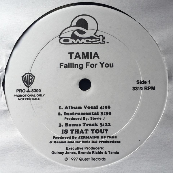 レア Tamia - Falling For You (200X Remix)tamia