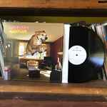 Weezer – Raditude (2009, 180 Gram, Vinyl) - Discogs