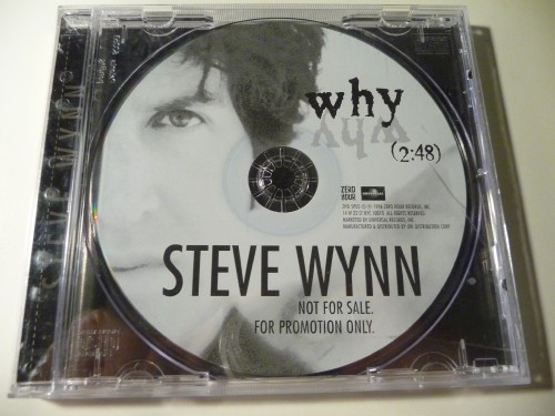 descargar álbum Steve Wynn - Why