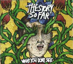 What You Don't See - The Story So Far