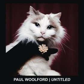 Paul Woolford Untitled 2013 Vinyl Discogs