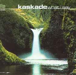 Kaskade - What I Say album cover