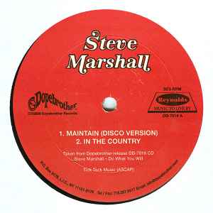 Steve Marshall (2) - Maintain (Disco Version) album cover