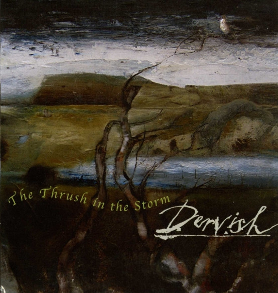 Dervish - The Thrush In The Storm on Discogs