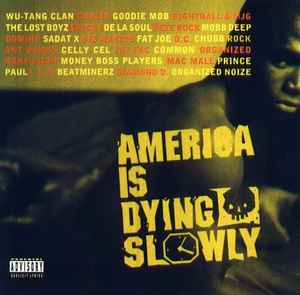 America Is Dying Slowly (1996, Vinyl) - Discogs