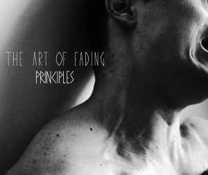 The Art Of Fading - Principles album cover
