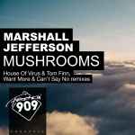 Cover of Mushrooms (Remixes), 2016-04-04, File