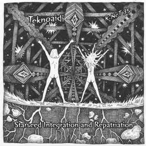 Teknoaidi - Starseed Integration And Repatriation album cover