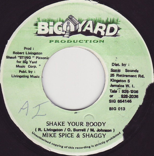 lataa albumi Mike Spice & Shaggy - Shake Your Boody